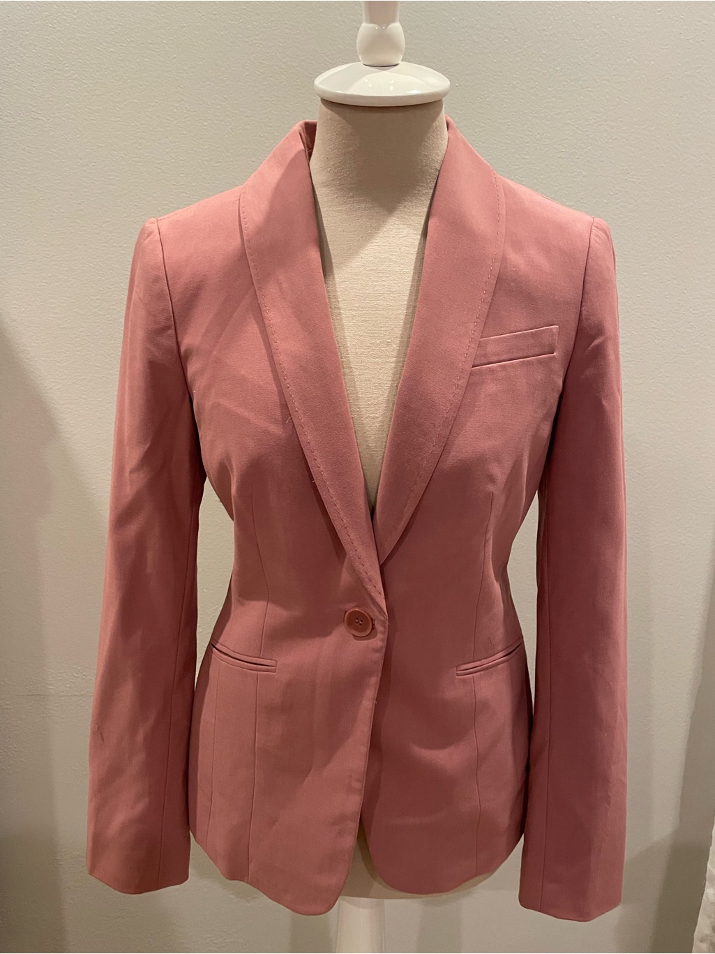 The Limited Dusty Rose Single-Button Tailored Blazer